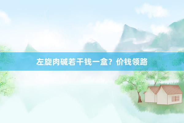 左旋肉碱若干钱一盒？价钱领路